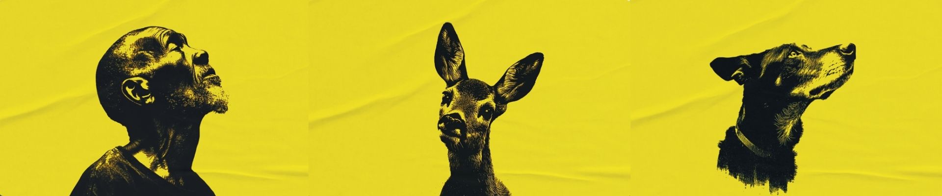 Stills from production